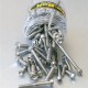 Pro Bolt stainless steel 100 piece flanged hex bolt assortment