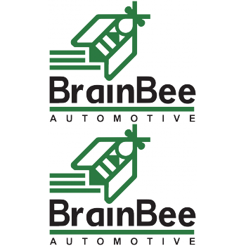 BrainBee - Colour Sticker